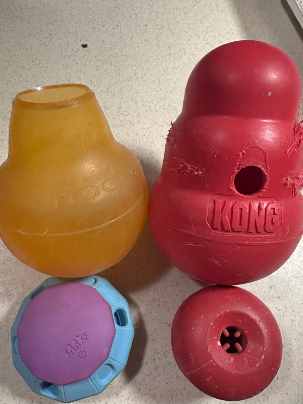 Dog toys Kong Bark
